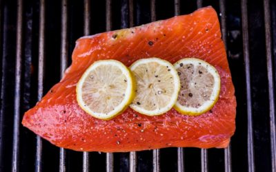 Salmon Recipes