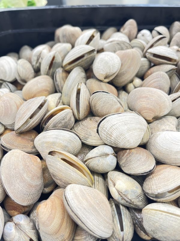 Fresh Manila Clams